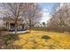 Spacious backyard with above ground pool, firepit, wooden fence, and attractive landscaping at 825 N Bancroft St, Indianapolis, IN 46201