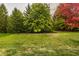 Backyard view of the well-manicured lawn, lush trees, and landscaping at 14297 Matt St, Carmel, IN 46033