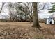 Backyard with large trees, a wooden fence, and a blue and white storage shed at 7671 Sherry Ln, Brownsburg, IN 46112