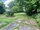 Large backyard area with trees, vegetation, and existing concrete slab at 823 Collier St, Indianapolis, IN 46241