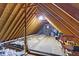 Spacious unfinished attic with exposed wooden beams and ample storage potential at 11850 Deer Walk Dr, Cicero, IN 46034