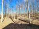 A peaceful backyard scene with bare trees and fallen log, nestled within a private wooded area at 1285 W Judson Ln, Mooresville, IN 46158
