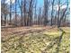 A natural backyard setting with bare trees and shed, providing a serene and private outdoor space at 1285 W Judson Ln, Mooresville, IN 46158