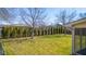 Expansive backyard featuring a well-maintained lawn, mature trees, and privacy hedges at 2665 Chestnut St, Columbus, IN 47201