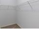 Bright walk-in closet with shelving and carpeted flooring for ample storage at 275 Hunters Ridge Dr, Danville, IN 46122