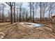 An in-ground pool surrounded by mature trees requires cleaning and maintenance at 3810 Springfield Overlook St, Indianapolis, IN 46234
