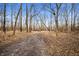 An unpaved land surrounded by trees during fall season at 4543 E 700 N, Alexandria, IN 46001