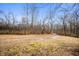 Natural landscape featuring dense tree cover and a gravel roadway at 4543 E 700 N, Alexandria, IN 46001