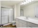 A modern bathroom with a shower and a vanity with a mirror and lighting at 19499 Grassy Branch Rd, Westfield, IN 46074