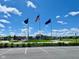 Community flags waving proudly with homes in the background and a blue sky at 2710 Nampa Dr, Whitestown, IN 46075