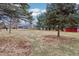 Backyard with mature trees and red storage shed, providing great outdoor space at 520 Denny Dr, Mooresville, IN 46158