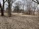 Leaf-covered, large open backyard with bare trees at 8328 S Franklin Rd, Indianapolis, IN 46259