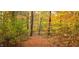 Beautiful wooded land with colorful fall foliage and mature trees at 1794 Bell Rd, Morgantown, IN 46160