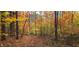 Beautiful land covered with lush foliage at 1794 Bell Rd, Morgantown, IN 46160