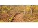 A path covered in colorful fall leaves winding through a serene forest, ideal for nature walks at 1794 Bell Rd, Morgantown, IN 46160