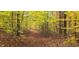 Vibrant wooded area with dense foliage blanketing the ground at 1794 Bell Rd, Morgantown, IN 46160