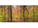 Lush wooded land showcasing autumn foliage in green, yellow and red at 1794 Bell Rd, Morgantown, IN 46160