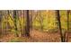 Mature trees with vibrant fall foliage covering a beautiful wooded lot at 1794 Bell Rd, Morgantown, IN 46160