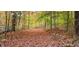 A scenic path covered in autumn leaves winding through a lush forest, perfect for an afternoon stroll at 1794 Bell Rd, Morgantown, IN 46160