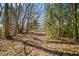 Explore this woodland backyard, featuring a natural tree-lined path covered with fallen leaves, perfect for a scenic hike at 2305 Bill Smith Rd, Martinsville, IN 46151