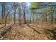 This wooded backyard offers a serene retreat, with trees, fallen leaves, and dappled sunlight creating a natural setting at 2305 Bill Smith Rd, Martinsville, IN 46151