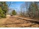 Natural wooded area with mature trees and a carpet of pine needles at 2305 Bill Smith Rd, Martinsville, IN 46151