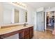 Well-lit bathroom with a sink, vanity, and a clear view into the closet and shower at 3132 W Meadowbend Dr, Monrovia, IN 46157