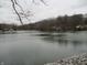 Picturesque lake view surrounded by trees with branch in the foreground at 8 Lake Hart, Mooresville, IN 46158