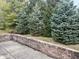 A verdant lawn is surrounded by tall coniferous trees at 8960 Stepping Stone Way, Avon, IN 46123