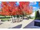 Backyard patio featuring a table with seating, outdoor furniture, and trees with colorful fall foliage at 12396 Dellfield W Blvd, Carmel, IN 46033