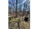 View of wooded backyard from deck, featuring mature trees at 28 Cambridge Ct, Anderson, IN 46012