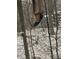 Backyard with a birdfeeder in a natural, wooded setting in winter at 28 Cambridge Ct, Anderson, IN 46012