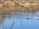 A glimpse of local wildlife enjoying the water from the backyard pond at 7156 Long Shore Cir, Indianapolis, IN 46217