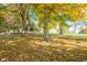 Beautifully landscaped property featuring mature trees and green lawns at 8090 E 550 S, Zionsville, IN 46077