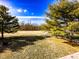 Landscaped backyard featuring mature trees and a playground at 12930 River Grove Dr, Columbus, IN 47203