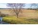 Well-maintained lawn, mature shade tree, and relaxing backyard views from the wood deck at 15620 E State Road 46, Columbus, IN 47203