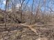 Enjoy the outdoors with a woodland path leading to the backyard at 2163 Laurel Leaf Ln, Avon, IN 46123