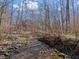 Peaceful stream flows through the backyard at 2163 Laurel Leaf Ln, Avon, IN 46123
