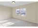 Well-lit carpeted bedroom featuring two large windows, providing a bright and inviting space at 4062 S Meadow Wood Ct, New Palestine, IN 46163