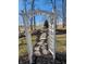 Landscaped backyard with white arbor over a stone pathway in a well maintained yard with mature trees at 551 E 600 S, Lebanon, IN 46052