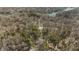 Scenic aerial view overlooking lake and homesites surrounded by a vibrant, dense forest at 8172 S Shoreview Dr, Trafalgar, IN 46181