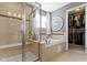 Bright bathroom featuring a shower, soaking tub, walk-in closet, and decorative art at 13615 Moorcroft Dr, Fishers, IN 46037