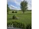 Lush green backyard features manicured shrubbery and a mature tree, creating a serene and picturesque outdoor space at 7152 Old Morgantown Rd, Martinsville, IN 46151