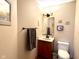 Cozy bathroom featuring a single sink vanity with a wood cabinet and decorative wall hangings at 7357 Windridge Way, Brownsburg, IN 46112