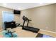 Well-equipped workout area with a treadmill, weights, and a TV for an engaging fitness experience at 7710 Eagle Crescent Dr, Zionsville, IN 46077