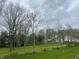 Scenic view from the backyard overlooking a lush green space with mature trees at 3328 Stafford St, Sheridan, IN 46069