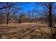 A picturesque outdoor view featuring mature trees and an abundance of foliage at 493 N Avon Ave, Avon, IN 46123