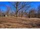 Expansive backyard with mature trees and a shed offers a private outdoor space at 493 N Avon Ave, Avon, IN 46123