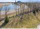 Aerial view of the backyard showing a fire pit, seating area, lake view and tree-lined community at 553 Farnham Dr, Westfield, IN 46074
