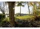 Backyard view featuring mature trees and a glimpse of the lake at 7780 Paw Paw Dr, Nineveh, IN 46164